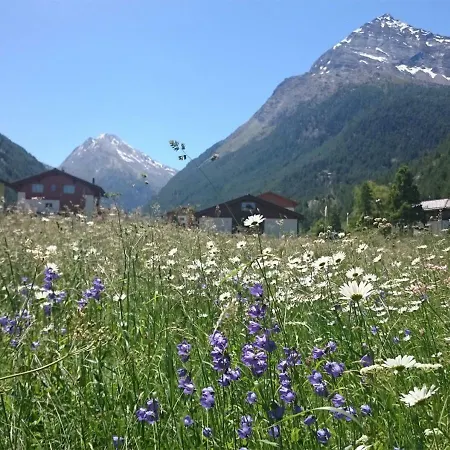 Gasthuis Ferienhaus Mon-bijou Saas-Grund